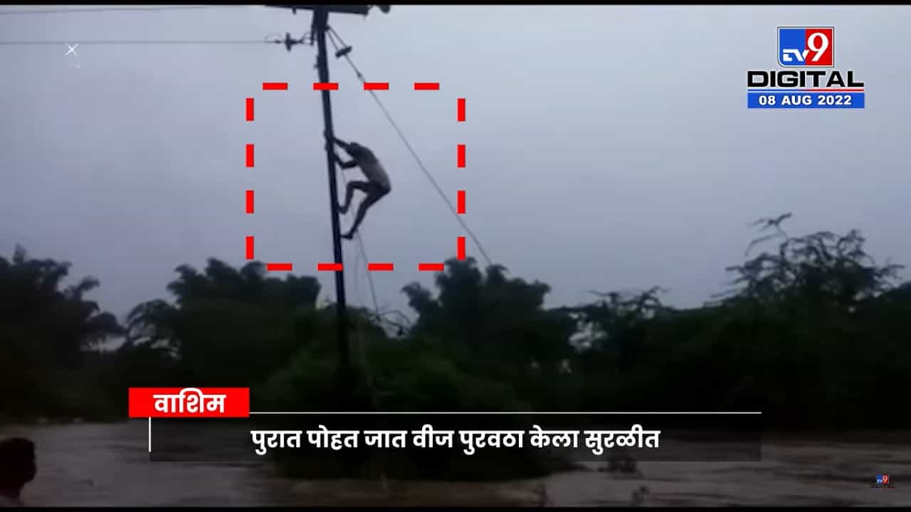 भर पुरात पोहत वीज पुरवठा केला सुरळीत, वाशिममधील महावितरणच्या कर्मचाऱ्यांचा व्हिडीओ व्हायरल