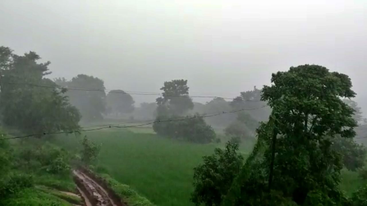 Pune rain : मुसळधार सुरूच, पुण्यासह राज्यात रेड अलर्ट; पुढचे तीन-चार दिवस बरसतच राहणार, पुणे वेधशाळेचा अंदाज