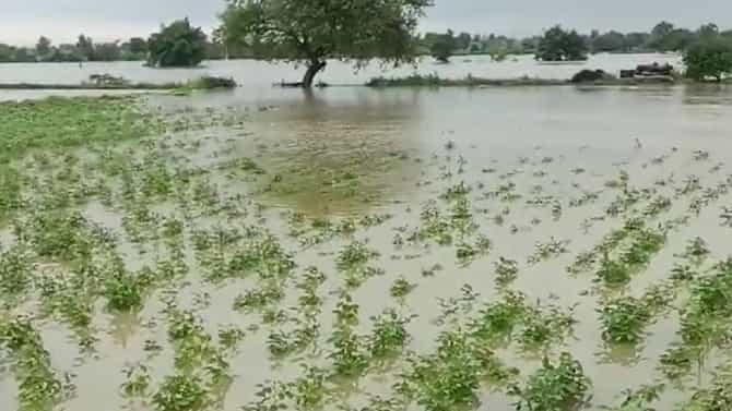 Washim : पंचनाम्यांची औपचारिकता सोडा अन् सरसकट मदत द्या, शेतकऱ्यांची आता एकच अपेक्षा