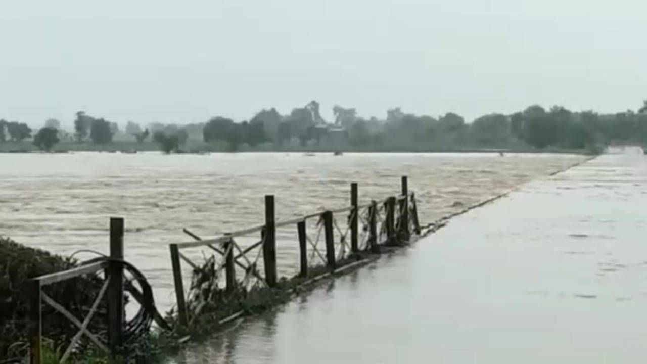 Chandrapur Rain | चंद्रपूर जिल्ह्यात पावसाची संततधार सुरू, गेल्या 24 तासात 50 मिलिमीटर पावसाची नोंद...