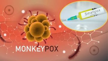 MonkeyPox: भारतात किती धोकादायक आहे..नवा स्ट्रेन! जाणून घ्या, मंकिपॉक्सच्या A-2 स्ट्रेन ची लक्षणे!