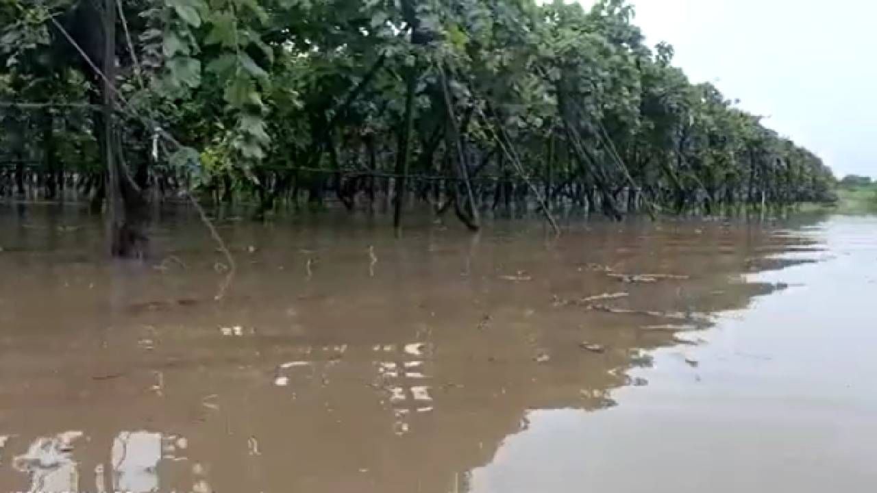 Nashik Rain | येवला तालुक्याच्या उत्तर भागात ढगफुटी सदृश्य पाऊस, पिकांचे मोठे नुकसान...