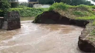 Nashik | सिन्नर तालुक्यातील डुबेरेत बंधारा फुटल्याने पिकांचे मोठे नुकसान, शेतकऱ्यांनी केली मोठी मागणी