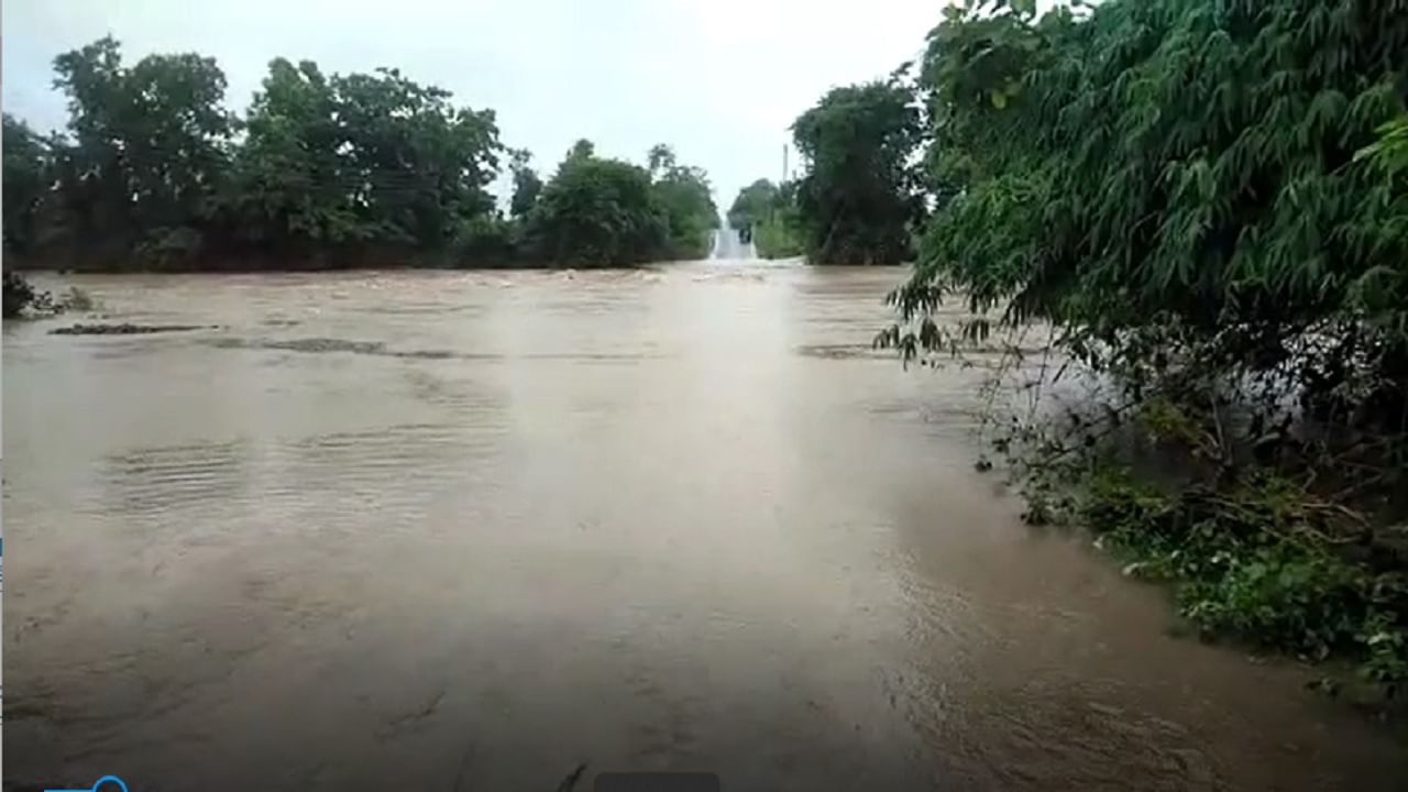 Wardha Rain Update : वर्धा जिल्ह्यात मुसळधार पाऊस, जिल्ह्यातील महत्त्वाचे मार्ग वाहतुकीसाठी पुर्णपणे बंद