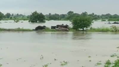 Washim Rain | सततच्या पावसामुळे वाशिम जिल्हातील 63 लघु प्रकल्प ओव्हर फ्लो...