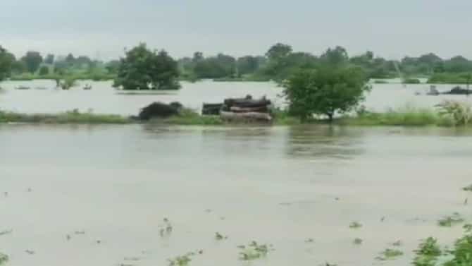 Washim Rain | सततच्या पावसामुळे वाशिम जिल्हातील 63 लघु प्रकल्प ओव्हर फ्लो...