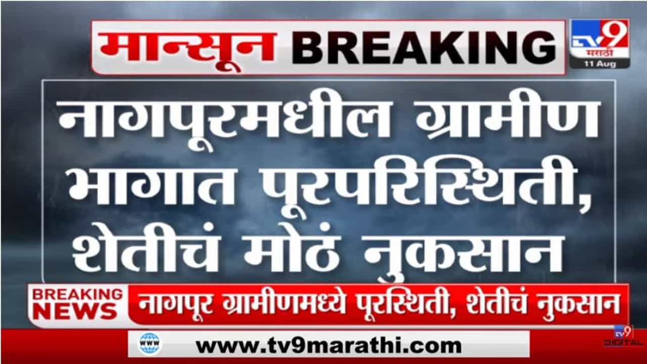 Vidarbha Rain Update: नागपूर ग्रामीण भागात पूरस्थिती, शेतीचे मोठ्या प्रमाणात नुकसान