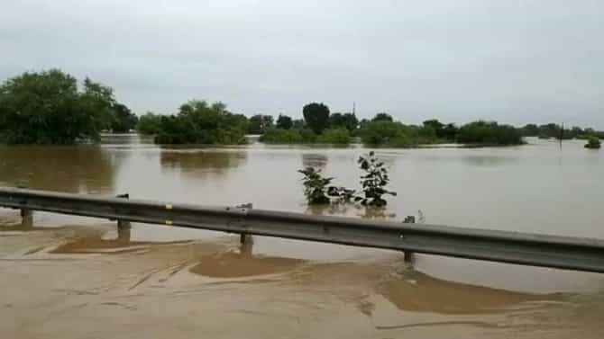 गोसेखुर्द धरणातील पाणी विसर्गामुळं ब्रह्मपुरीतील गावं पूरमय; 15 गावातील शेतीशिवारं पाण्याखाली; अनेक मार्गावरील वाहतूक बंद