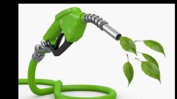 Ethanol Petrol | पुढच्या वर्षापासून गाड्या धावणार ई-20 पेट्रोलवर! देशाची अर्थव्यवस्था होणार आत्मनिर्भर, शेतकरी होणार मालामाल, फायदे वाचून व्हाल दंग
