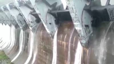 Water discharge : राज्यातील उजनी, बारवी, राधानगरी, भंडारदरा, कोयना, तुळशी धरणं भरली, पाण्याचा विसर्ग सुरू, नदीकाठावरील गावांना सतर्कतेचा इशारा