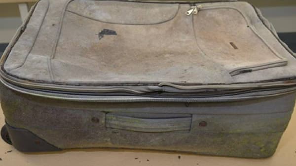 Dead body in suitcase: कुणी प्रियकर, कुणी प्रेयसी, कुणी सख्ख्या मुलांचे मृतदेह भरले सूटकेसमध्ये, ह्रद्याचा थरकाप उडवणाऱ्या घटना