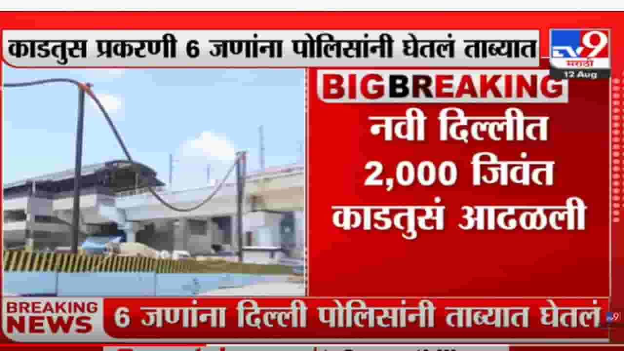 नवी दिल्लीत 2 हजार जिवंत काडतुसं आढळली; सहा जण ताब्यात नवी दिल्लीत 2 हजार जिवंत काडतुसं आढळली; सहा जण ताब्यात