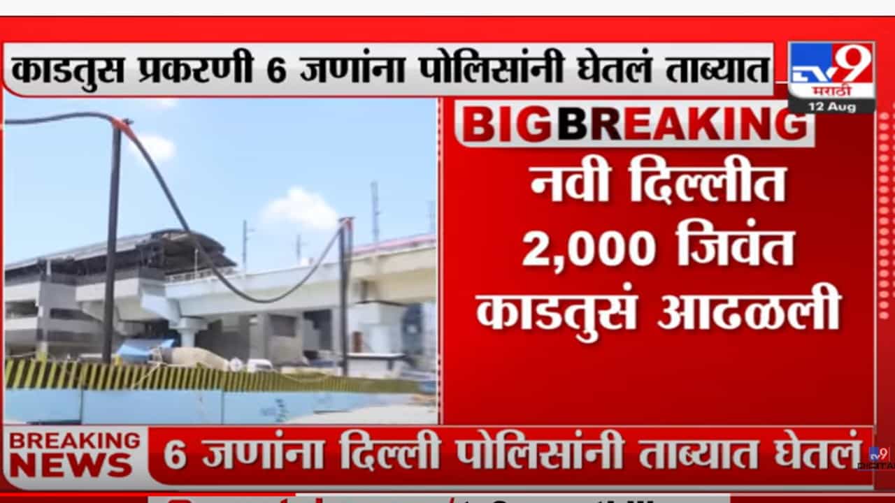 नवी दिल्लीत 2 हजार जिवंत काडतुसं आढळली; सहा जण ताब्यात नवी दिल्लीत 2 हजार जिवंत काडतुसं आढळली; सहा जण ताब्यात