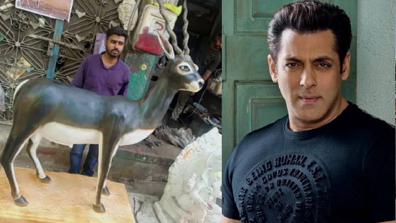 Salman Khan: ज्या हरणाची शिकार झाली त्याचा पुतळा तयार, 800 किलो लोखंड आणि सिमेंटचा वापर, शिंगं मात्र खरी Salman Khan: ज्या हरणाची शिकार झाली त्याचा पुतळा तयार, 800 किलो लोखंड आणि सिमेंटचा वापर, शिंगं मात्र खरी