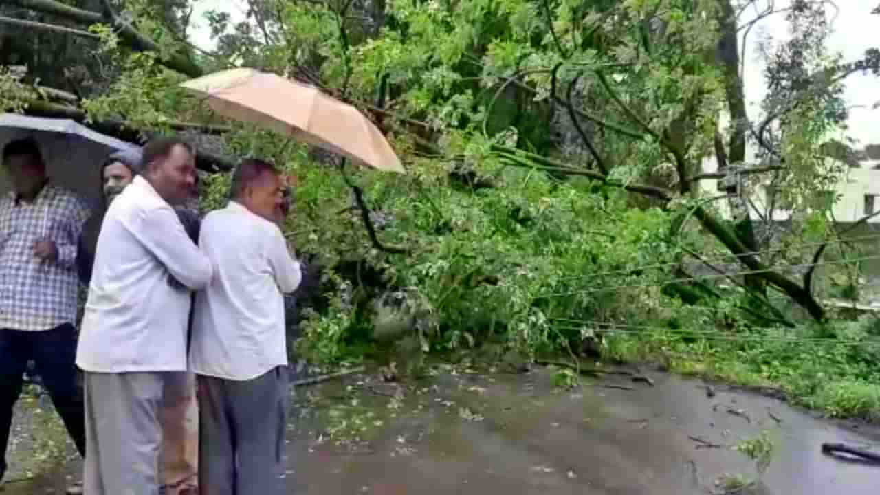 Pune rain : कुठे झाडं उन्मळून पडली तर कुठे घरावरचं छप्पर उडालं; पुण्यातल्या पावसाचा जोर कमी होईना!
