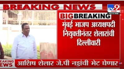 आशिष शेलार दिल्लीला रवाना; जे. पी. नड्डांची घेणार भेट