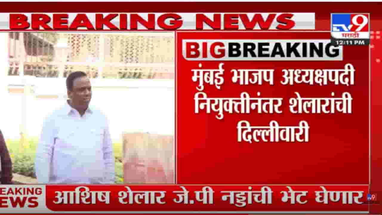 आशिष शेलार दिल्लीला रवाना; जे. पी. नड्डांची घेणार भेट आशिष शेलार दिल्लीला रवाना; जे. पी. नड्डांची घेणार भेट