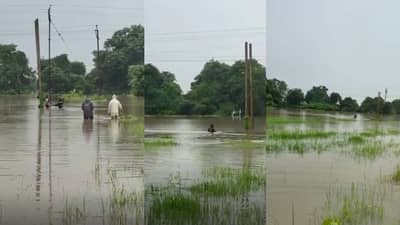 Viral: कोण म्हणतं देशसेवा फक्त सैनिक करतात? हा जिगरबाज लाइन मॅन बघा, पुराच्या पाण्यात भर पावसात विजेच्या खांबावर चढला, व्हिडीओ व्हायरल