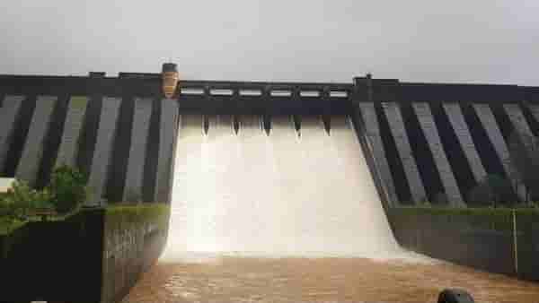Koyna Dam : धरणाच्या पाणीपातळीत वाढ, कोयना नदीत 21 हजार क्युसेक पाण्याचा विसर्ग, गावांना सतर्कतेचा इशारा