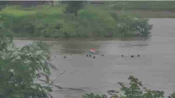 कोल्हापूरात असा साजरा केला स्वातंत्र्याचा महोत्सव; उदगाव येथे कृष्णा नदीत 9 किलोमीटर पुरातून पोहत फडकविला तिरंगा
