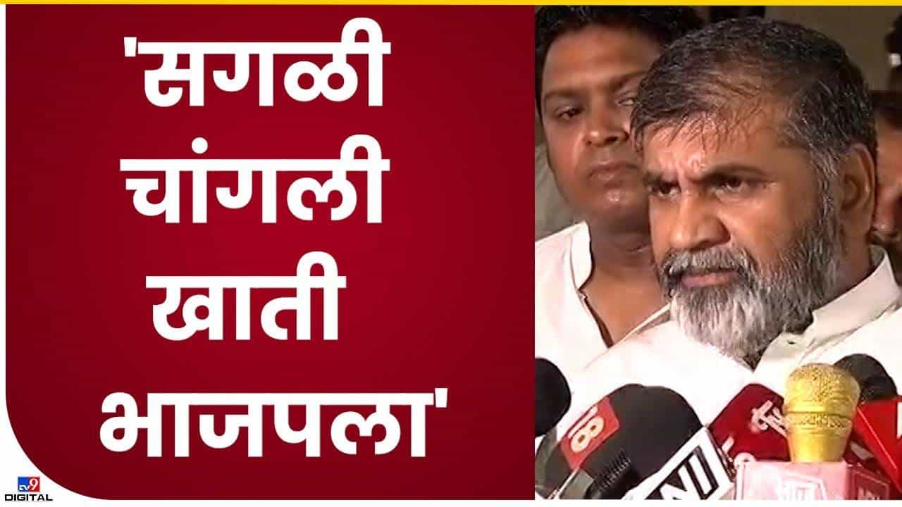 हे सरकार भाजपचच....