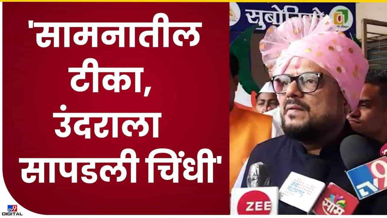 सामना म्हणजे उंदराला सापडली चिंधी