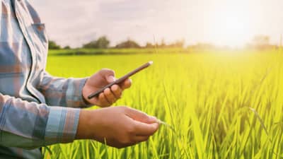 E-Pik Pahani :ई-पीक पाहणीमुळे पीक पेऱ्याची नोंदणी थेट शासन दरबारी, सोपी अन् सहज असलेली प्रक्रिया जाणून घ्या..!