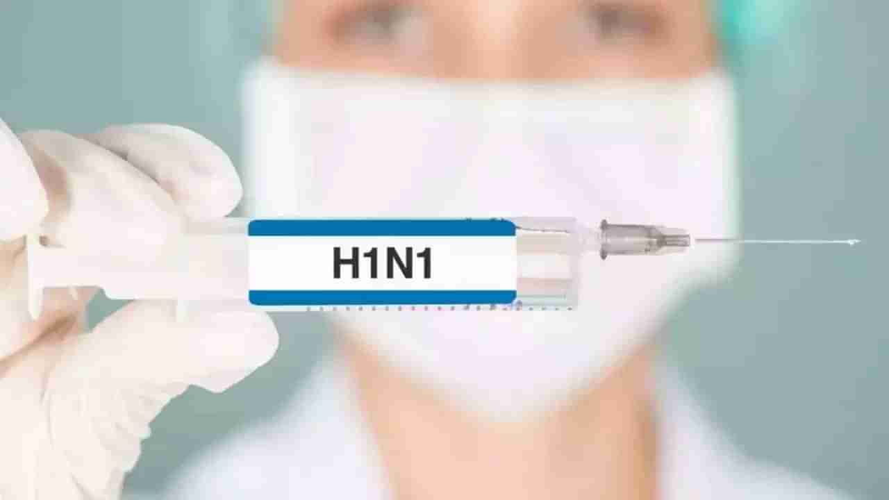 Swine Flu : धोका वाढला! ठाणे जिल्ह्यात स्वाईनची दहशत, रुग्णांचा आकडा 342वर, काळजी घ्या!