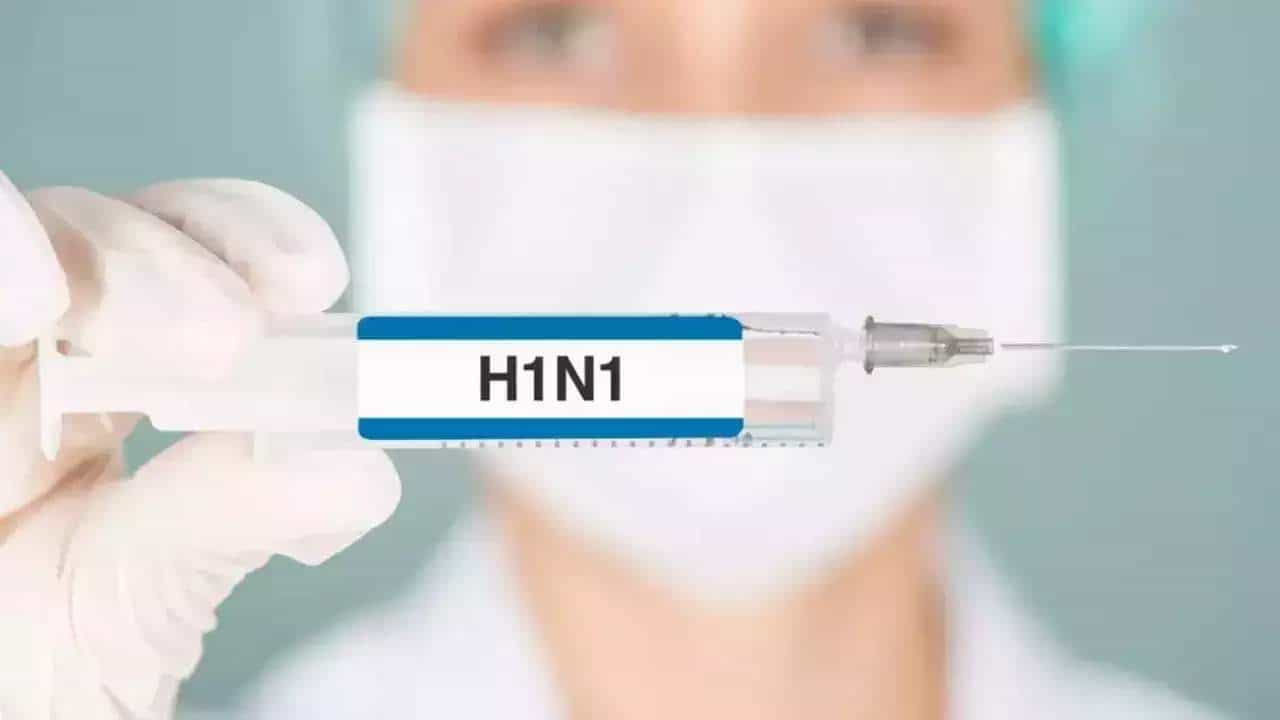 Swine Flu : धोका वाढला! ठाणे जिल्ह्यात स्वाईनची दहशत, रुग्णांचा आकडा 342वर, काळजी घ्या!