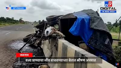 Muktainagar National Highway वर ट्रकची पुलाला धडक, भीषण Accident मध्ये ट्रकचा चक्काचूर – tv9
