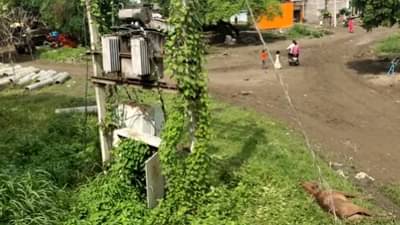 Jalna | घनसावंगी तालुक्यात विजेच्या धक्क्याने घोड्याचा जागीच मृत्यू ...