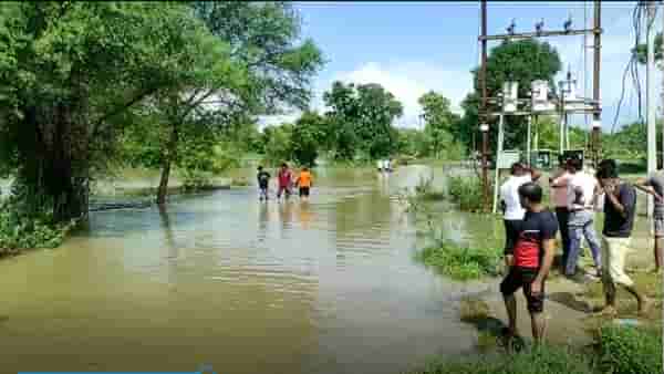 Bhandara : भंडारा जिल्ह्यात तहसिलदार कार्यालयातील कर्मचारी पूरात वाहून गेला, एकाला वाचवण्यात नागरिकांना यश
