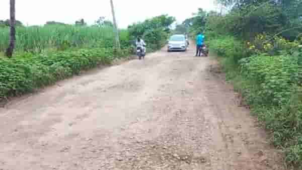 Solapur : करमाळा- चिखलठाण रस्त्याचे तीनतेरा, रस्ता दुरुस्त न केल्यास मतदानावर बहिष्कार टाकू, ग्रामस्थांचा इशारा