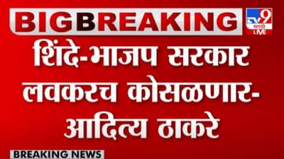 Aaditya Thackeray : शिंदे-फडणवीस सरकार लवकरच कोसळणार,आदित्य ठाकरे यांचं मोठं विधान