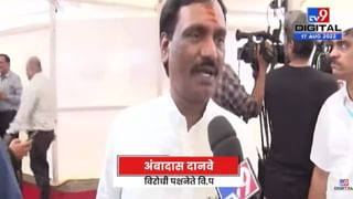 VIDEO : Sangli | सांगलीतील ब्रम्हनाल गावाजवळ मगरीचं दर्शन