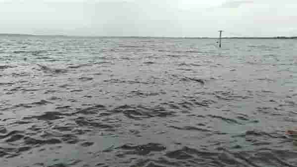 Ujani Dam : उजनी धरणातून पाण्याचा विसर्ग अटोक्यात, नदी लगतच्या पिकांना जीवदान