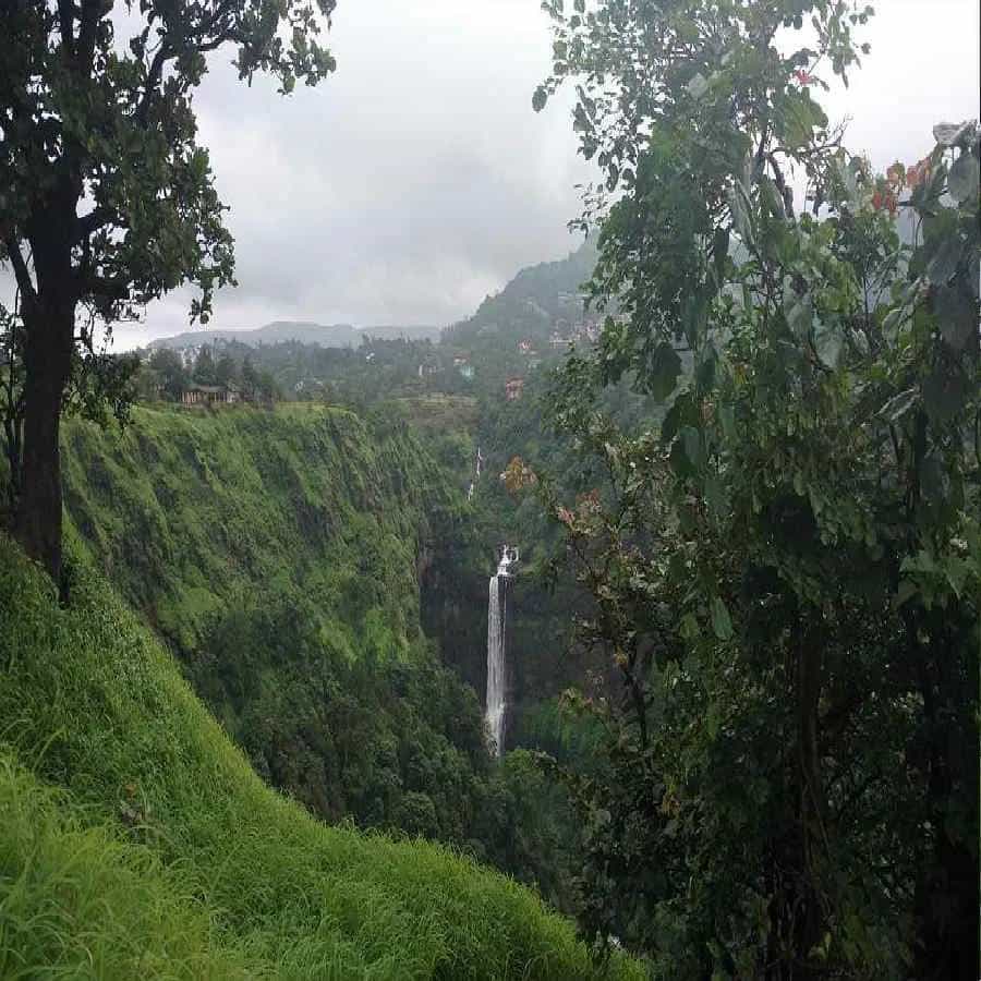 मान्सूनच्या काळात हवामानही चांगले असते. अशा परिस्थितीत अनेकजण प्रवासाचा बेतही बनवतात. जर तुम्हीही पावसाळ्यात फिरण्याचा विचार करत असाल तर तुम्ही या ठिकाणांना नक्कीच भेट द्या.
