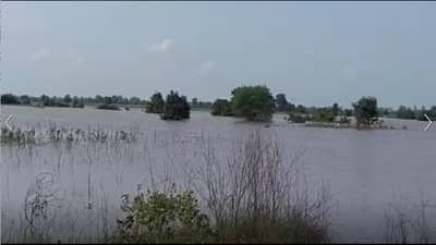 Gadchiroli : गडचिरोली जिल्ह्यात पूरस्थिती गंभीर, 19 मार्ग पुर्णपणे बंद