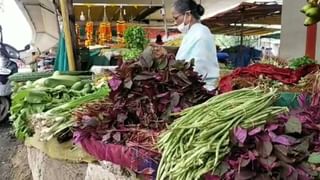 Monsoon : धो-धो बरसला पाऊस, राज्यातील जवळपास सर्वच जिल्ह्यांमध्ये ओलांडली सरासरी, काय सांंगते हवामान विभागाची आकडेवारी?