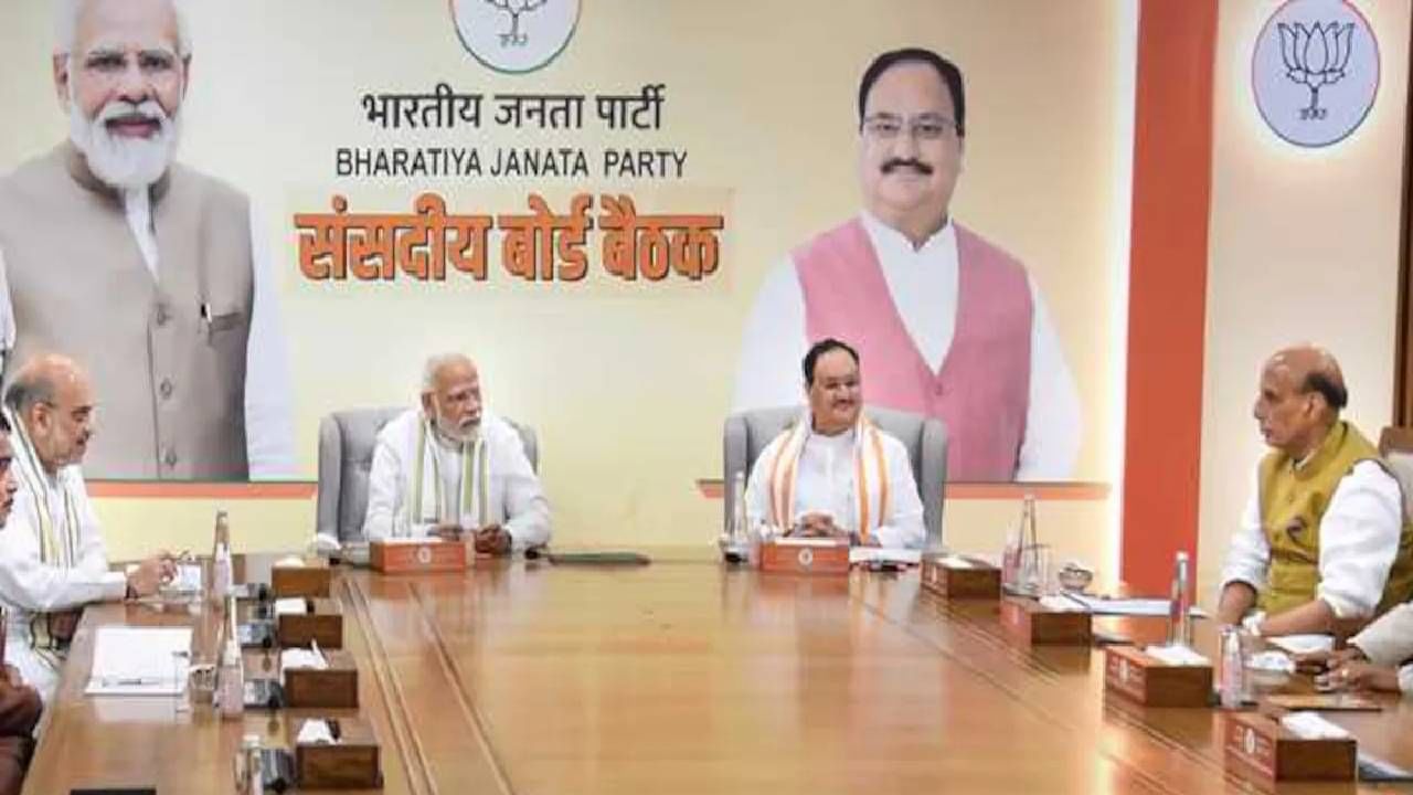 BJP : संसदीय समितीमधून गडकरी बाहेर, फडणवीसांचा समावेश, संसदीय समितीचे महत्व काय?