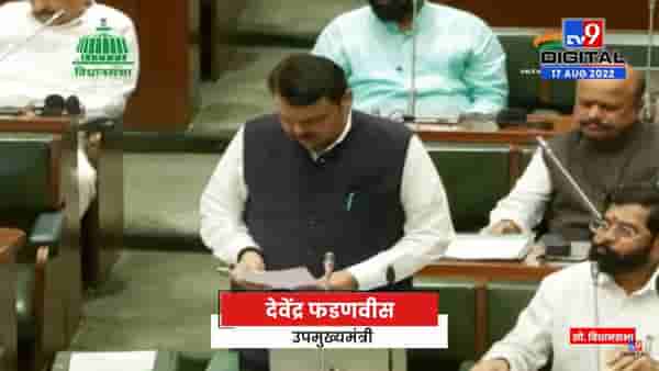 Devendra Fadanvis | शेतकऱ्यांच्या प्रश्नांवर सरकार गंभीर आहे, काही दिवसात चांगले निर्णय होतील-
