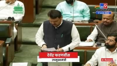 Devendra Fadanvis | शेतकऱ्यांच्या प्रश्नांवर सरकार गंभीर आहे, काही दिवसात चांगले निर्णय होतील-