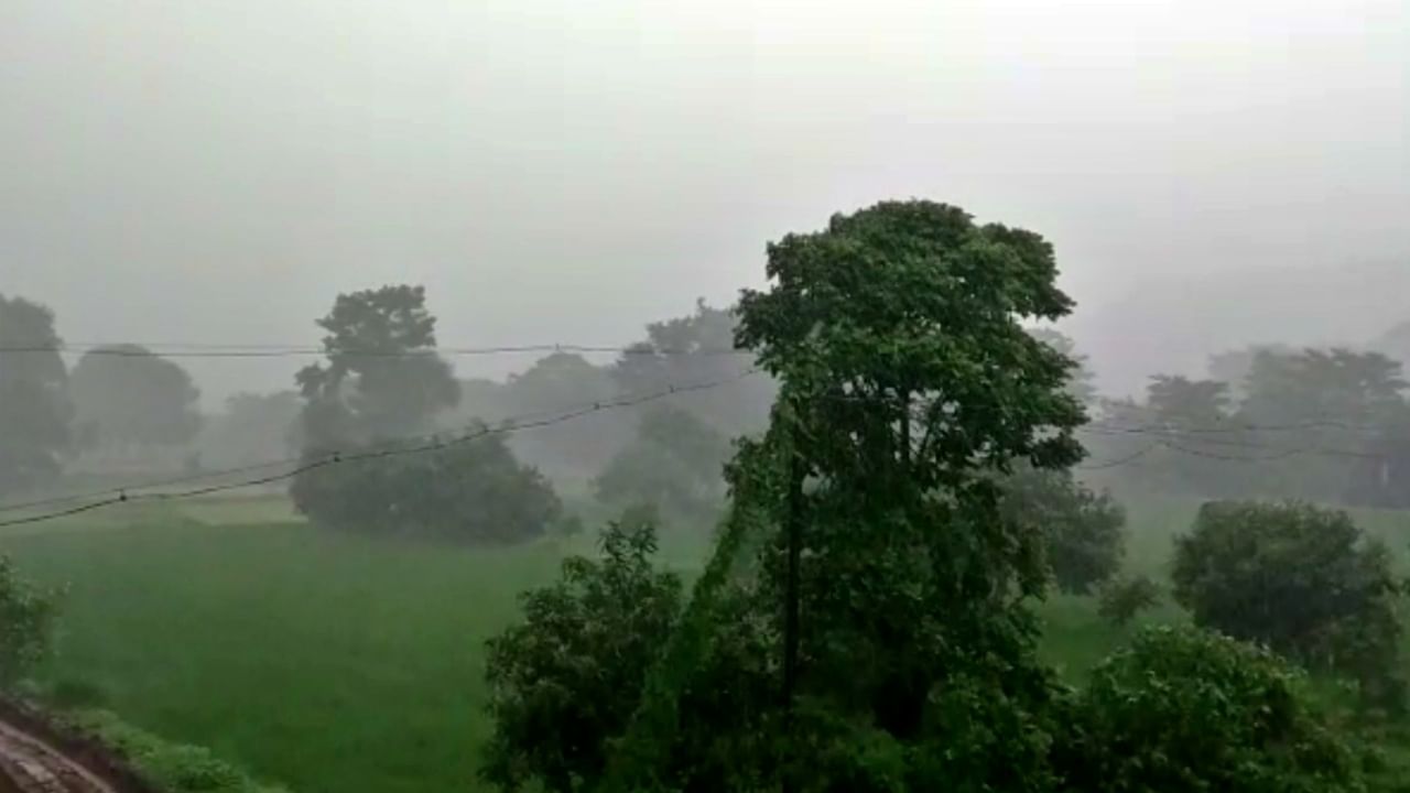 Pune rain : पुण्यात 20 ऑगस्टपर्यंत हलका तर विदर्भात 18 ते 21 ऑगस्टदरम्यान हलका ते मध्यम पाऊस, वेधशाळेचा अंदाज