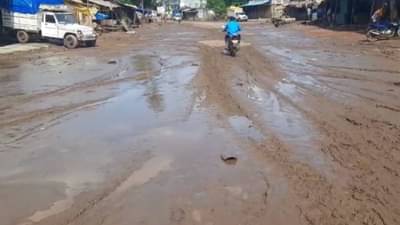 Gadchiroli Flood : गडचिरोली जिल्ह्यात तिसऱ्यांदा पुराचा फटका, मिरची, धानाचे मोठं नुकसान, शेतकरी म्हणतात, भरपाई केव्हा मिळणार?