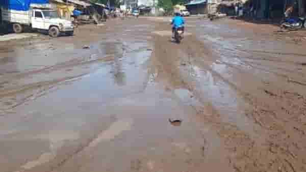 Gadchiroli Flood : गडचिरोली जिल्ह्यात तिसऱ्यांदा पुराचा फटका, मिरची, धानाचे मोठं नुकसान, शेतकरी म्हणतात, भरपाई केव्हा मिळणार?
