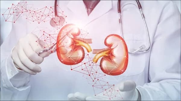 Kidney Health : किडनीसाठी धोकादायक ठरू शकतात हे 4 पदार्थ; त्यापासून लांब राहणेच इष्ट..