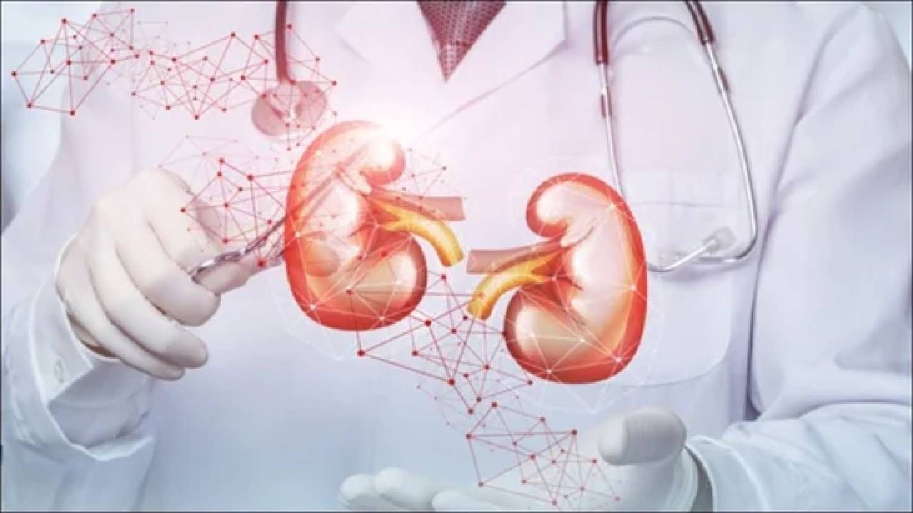 Kidney Health : किडनीसाठी धोकादायक ठरू शकतात 'हे' 4 पदार्थ; त्यापासून लांब राहणेच इष्ट..