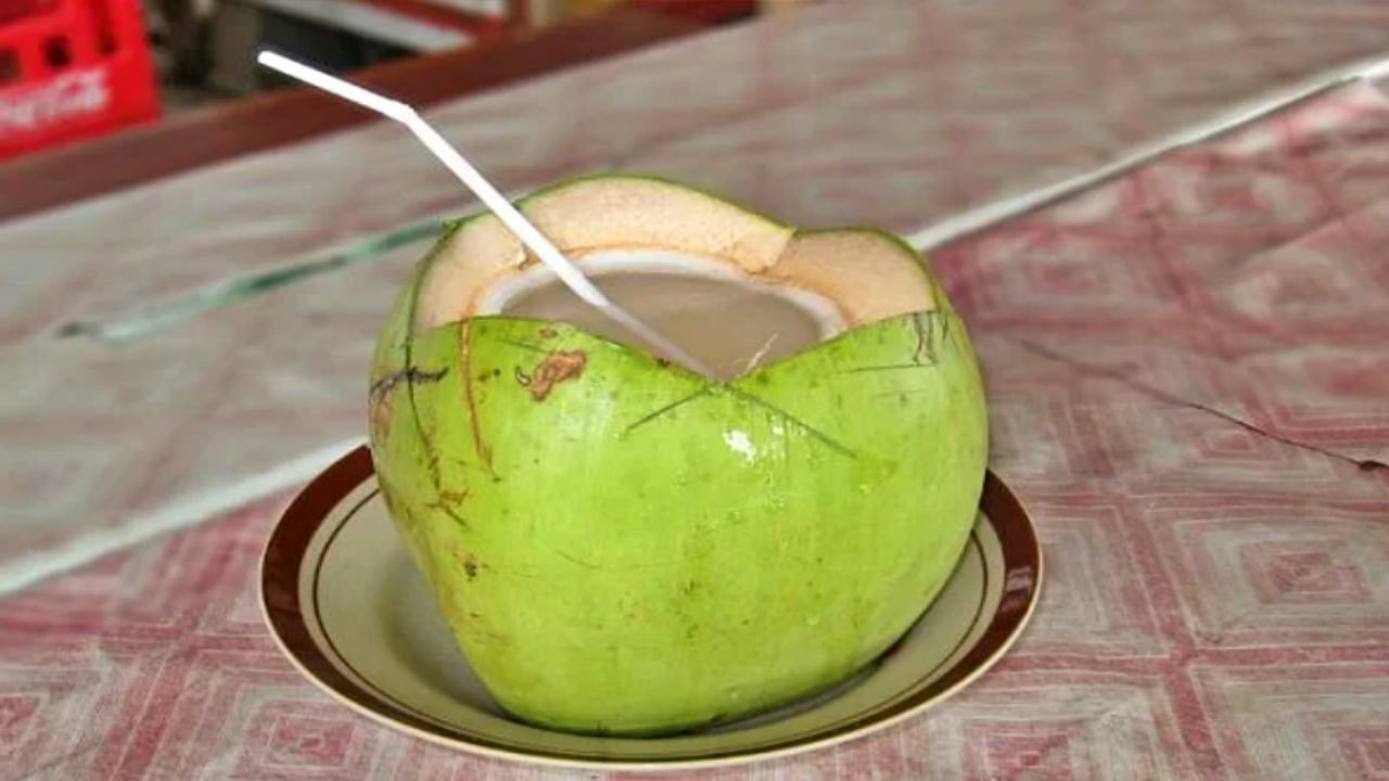 Coconut Water Benefits रोज रिकाम्या पोटी प्या नारळाचं पाणी; मिळतील
