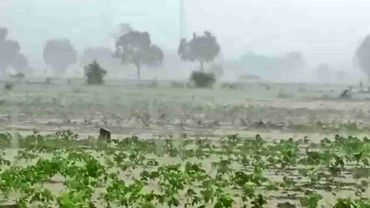 Pune rain : बंगालच्या उपसागरात तीव्र कमी दाबाचं क्षेत्र तयार झाल्यानं पुढचे तीन दिवस मुसळधार, हवामान विभागाचा इशारा