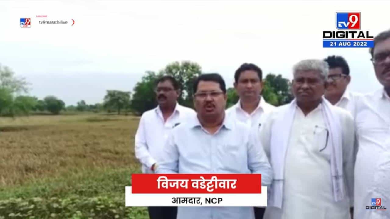 Vijay Wadettiwar चंद्रपूर दौऱ्यावर, नुकसानग्रस्त भागाच्या पाहणीसाठी शेतात पोहोचले-tv9